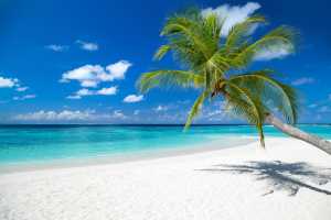 traumstrand traumstrand